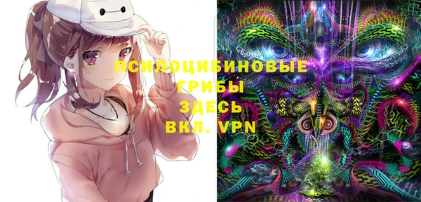 МДПВ Гусев