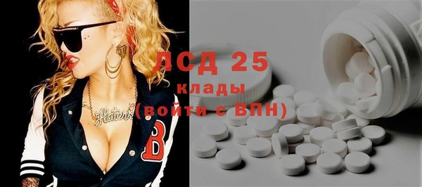сатива Гусь-Хрустальный