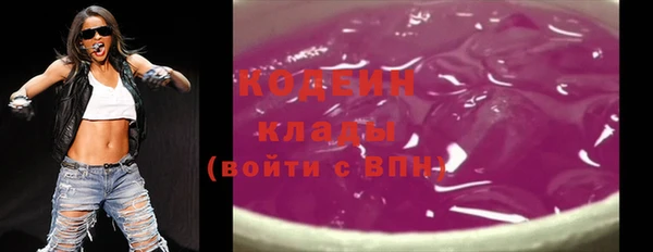 МДПВ Гусев