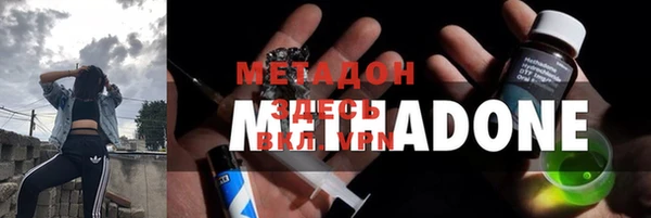 сатива Гусь-Хрустальный