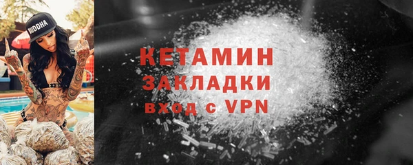 сатива Гусь-Хрустальный