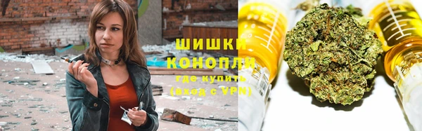 МДПВ Гусев