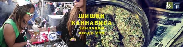 сатива Гусь-Хрустальный